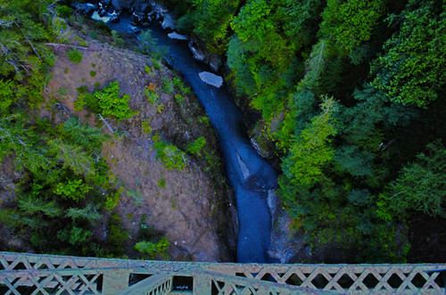 bridge trees green forest river washington perspective nationalforest pacificnorthwest steelbridge wilderness heights masoncounty skokomishriver skokomish hdrattempt highsteelbridge