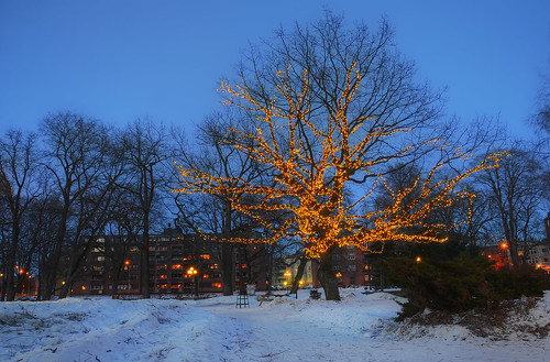 houses winter snow tree bench lights bush bright sweden dusk branches sverige hdr eskilstuna citypark stadsparken