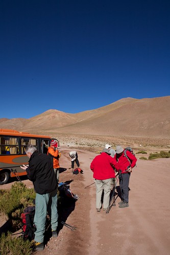 chile road street trip travel blue red vacation sky orange mountain bus green nature grass weather stone canon landscape eos high bush reisen flickr track day view desert action outdoor walk altitude group may hike clear atacama andes botanic gps travelers preparation gravel brownish travelgroup 2470mm wikinger 2011 machuca canoneos5d canonef2470mmf28l rutab245machuca regióndeantofagasta 4523t