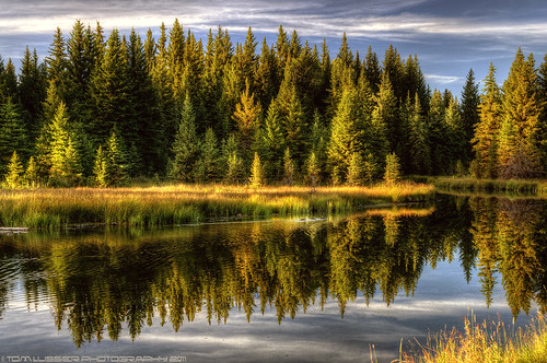 sunset tree water clouds forest reflections river landscape nationalpark nikon wyoming grandtetonnationalpark schwabacherslanding grandtetonnationalparkwyoming tpslandscape