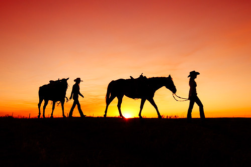 ranch travel girls sunset 2 two sky horses orange sun sunlight west field animal silhouette yellow horizontal cowboys rural america sunrise walking landscape outdoors dawn evening countryside twilight women montana colorful mt unitedstates desert legs bright dusk feminine pair horizon country profile young warmth gear dry havre western gradient recreation backlit copyspace leash agriculture harness sideview cowgirls halter leading saddle americanwest tack stockphoto longday greatplains femininity stockphotography endoftheday guestranch beauitufl colorimage beautyinnature hiline horizonoverland toddklassy