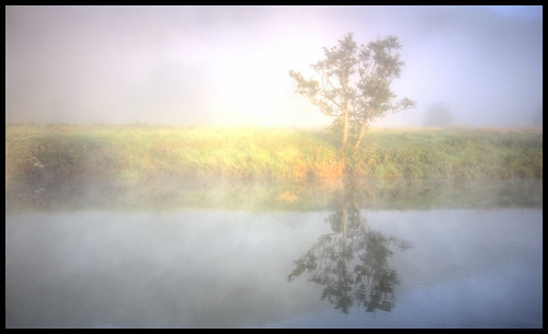 morning light mist reflection tree wales sunrise dawn mirror haze wyevalley riverwye bigsweirbridge