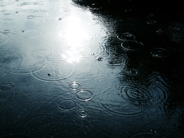 (244/365) Rain & Sunshine