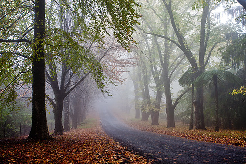 road autumn cold fall wet fog geotagged bluemountains spooky rainy nsw mountwilson geo:lat=33505842823382466 geo:lon=15036750886474306
