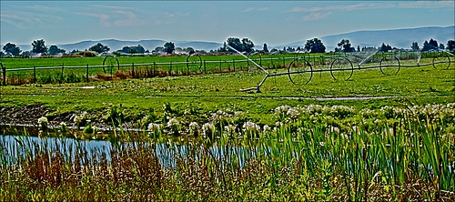 idaho rupert irrigation
