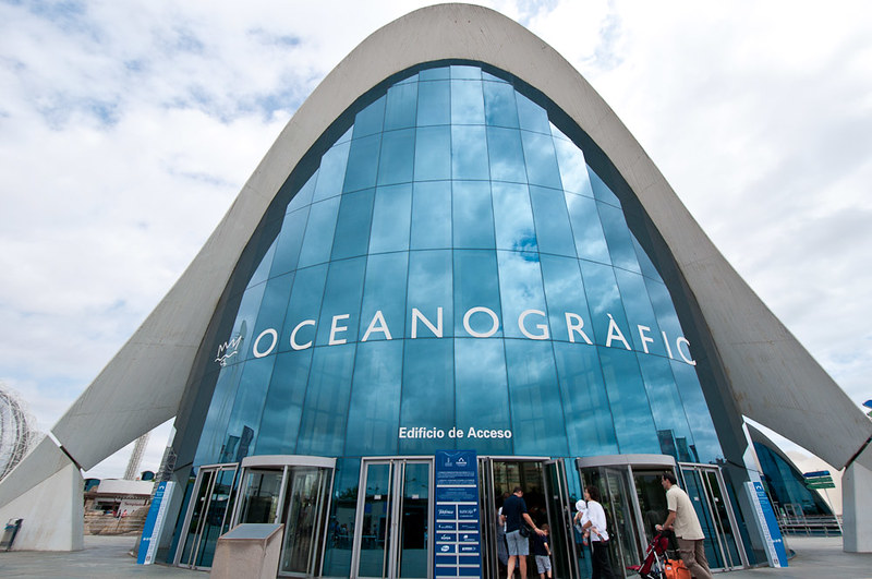 Visita al Oceanográfico de la Ciudad de las Artes y las Ciencias de Valencia