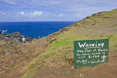 Blowhole Sign
