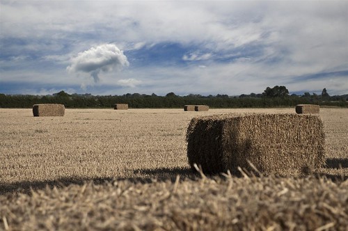 summer field sunny lincolnshire hay bale flickrchallengegroup ourdailychallenge