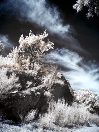 ir infrared hunt chasse 2011 cévennes colognac