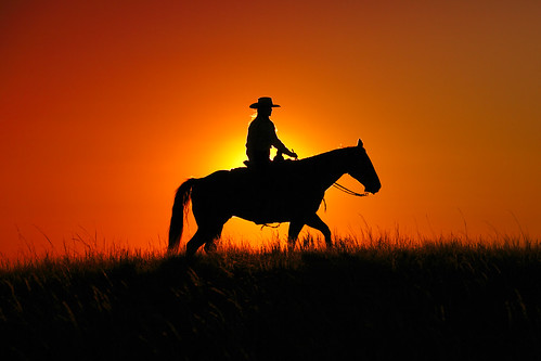life ranch lighting light sunset shadow red summer sky horse orange woman sunlight abstract black girl beautiful animal sport yellow horizontal america sunrise dark hair outdoors person golden evening cowboy montana warm exposure mt ride adult emotion background grunge working warmth clear riding havre lensflare western americana rays recreation backlit through copyspace cowgirl outline cowboyhat shining wildwest horseback americanwest ranching quarterhorse stockphoto firstlight stockphotography endoftheday travelphotography featureless designelement reigns colorimage beautyinnature msunorthern unrecognizableperson russellcountry toddklassy