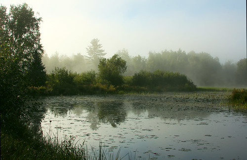 mist nature water fog river pond stream