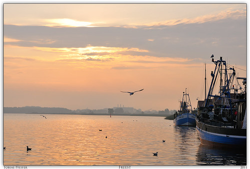 sunrise boat nikon harbour hafen sonnenaufgang peenemünde freest mornigsun nikond300s nikonafsnikkor50mm114g hoyauv58mmhdfilter lubmin2011