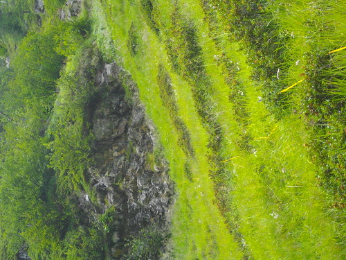 österreich europa sommer uni alpen fieldwork 2011 hochgebirge gradental sourcesink