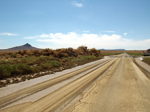 Tumbleweeds on SR 87