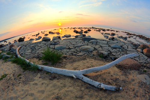 sunset sea tree beach landscape sand exposure fisheye shore 8mm hdr bracketing photomatix samyang8mmf35ifmcfisheye