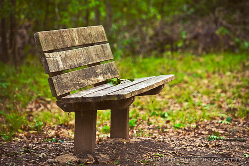 bench unfinished odc brazosbendstatepark project365 ourdailychallenge canonef70200mmf28lisiiusm