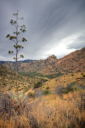 arizona canon landscape cloudy az coronadonationalforest centuryplant cochisestronghold dragoonmountains 50d cochisecounty