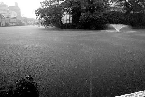 landscape akita raindrop senshupark dp1x