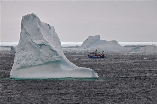 fishingboat piia icebergs nikonsigma northernnewfoundland iceisland greatbrehat nikond300 newfoundlandlandscape sigmadg150500mm petermannglacier petermanniceisland straitsfoam