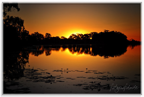 sunset sun lake water silhouette night reflections island evening nikon glow dusk australia calm queensland lillies rockhampton d90 colorphotoaward fotografdude