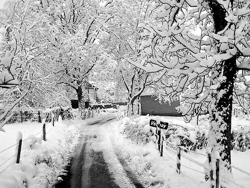 winter white snow black france landscape nikon noir path hiver neige savoie paysage blanc chemin calme