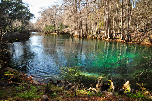 statepark park winter water spring florida clear springs freshwater manateesprings