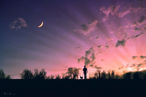 sunset sky moon silhouette clouds jackrusselterrier redorange dogwalk uwb