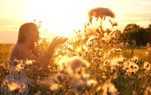 life flowers sunset france nature girl field soleil emotion bokeh centre breath champs chance alive souffle joie chartres breathing vie vivre vivant cheerfulness eureetloir thomasgilbert cintray amilly flickraward firstbreathaftercoma canoneos550d