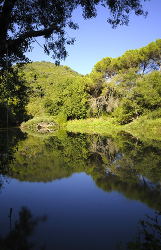 reflection río forest river spain nikon reflected bosque córdoba hoya nd400 trassierra reflejado d7000 sigma175028os
