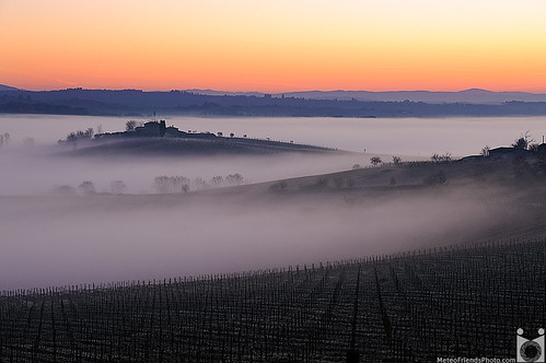 mist sunrise landscape dawn alba sigma vineyards tuscany chianti siena toscana 1770 nebbia paesaggio foschia d90 vigneti nikn meteofriendsphoto