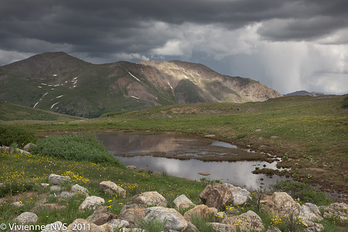 colorado independencepass mountains pond wildflower storm brewing rain clouds snow alpine
