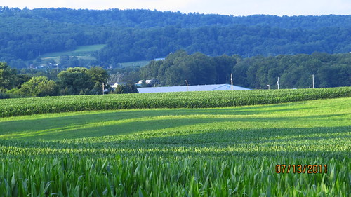 pictures camera canon lens rebel is with shot photos taken powershot used few these 1855mm t3 130 sx countrysidephotos 55250mm adamscountypennsylvania spectrumcolor