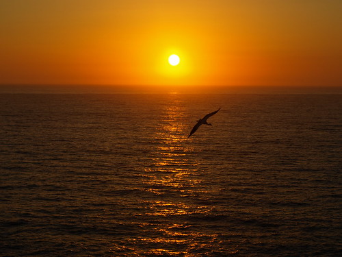 ocean sunset sea portugal stork beja cabosardao