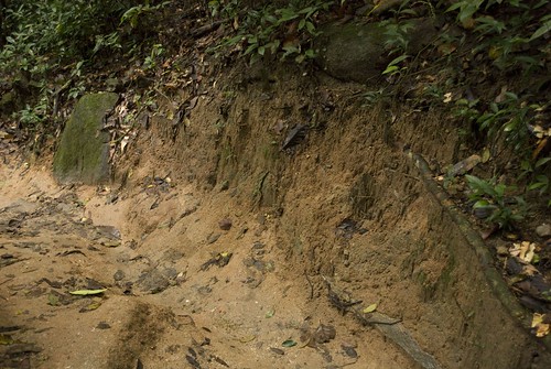 thailand rainforest erosion soil granite rayong khaochamao khaochamaonationalpark