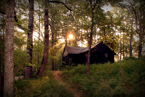set forest sunrise outdoors cabin woods country missouri