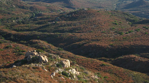 california creek forest sandiego august pan 2011 clevelandnational pinecreekwilderness espinosatrail