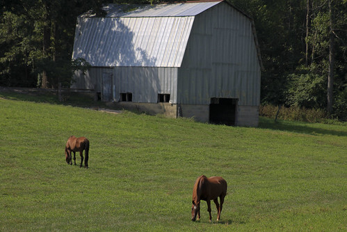 horses landscape farm northcarolina seagrove