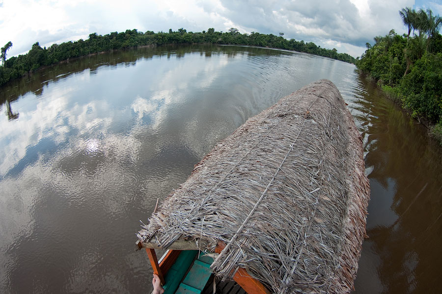 Река Нанай, приток Амазонки. Рыбалка в джунглях - авторские путешествия Kartazon Dream