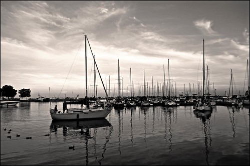 sunset bw lake ontario sepia sailboats heritageharbour cobourgmarina