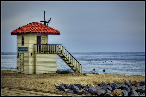ocean california beach water rock nikon surf surfer lifeguard pelican surfing surfers d7000 cmarkpatton