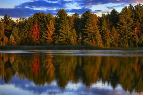 trees red summer sky ontario canada reflection green water yellow pond quiet bruce ottawa calm pit beyondhue