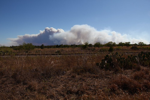 texas paige laborday wildfire bastrop