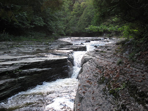 park newyork field creek river waterfall view scenic upstate martinsburg whitakerpark 091111