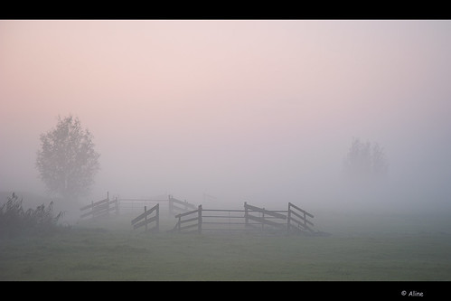 mist holland netherlands fog sunrise fence nederland kinderdijk hek zonsopkomst eddyblokhuis