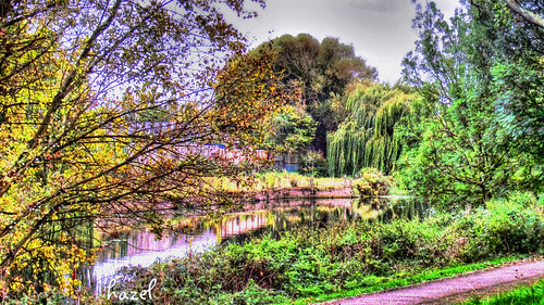 tree texture river paintshop back space leicester willow national pro weeping hdr soar staton x2 photomatix