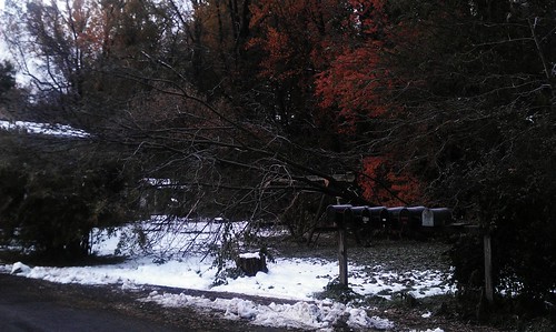 snow 2011 flickrandroidapp:filter=none treedownneedachainsaw