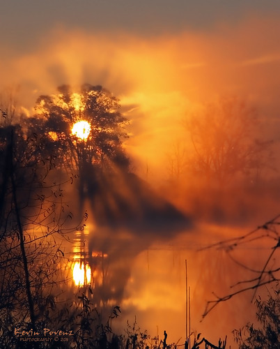 november sky sun lake tree fall fog sunrise pond foggy