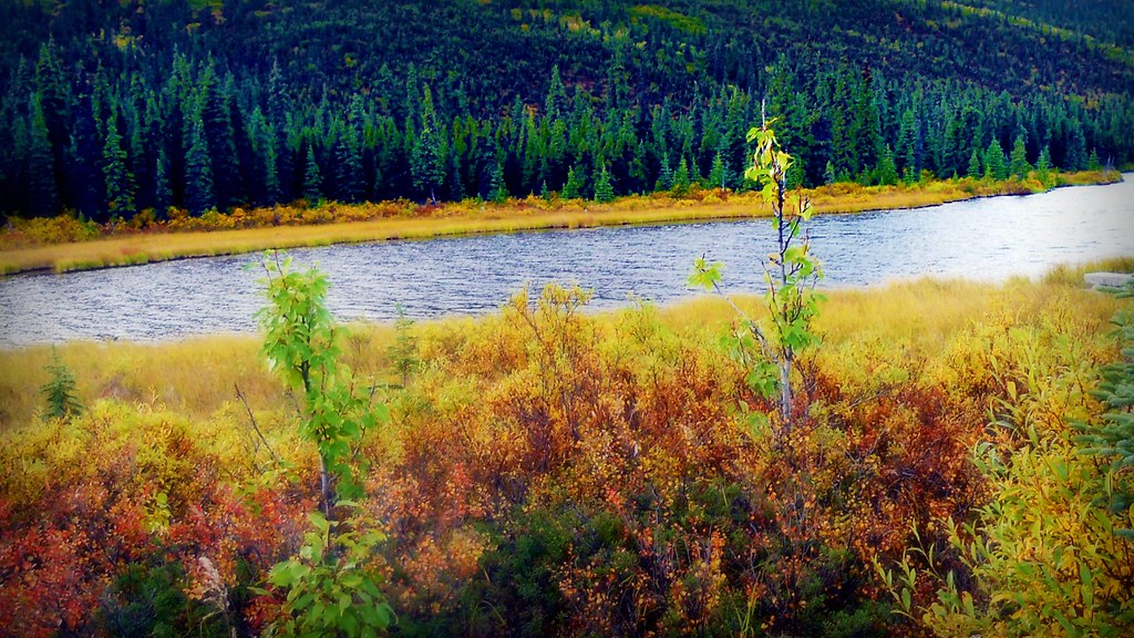 Autumn in Alaska - Landscape