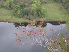 Autumn by Loch Tummel