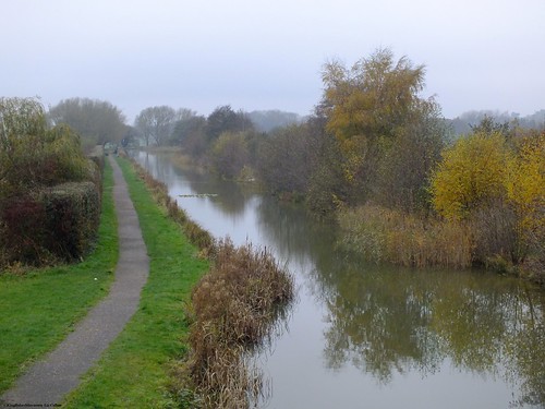 autumn reflections canal shrewsbury swans newport